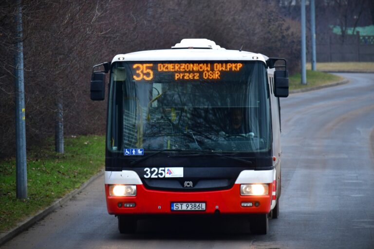 dodatkowe kursy na lodowisko w dzierżoniowie